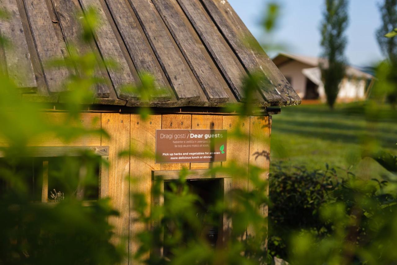 Glamping Kolpa Resort Gradac 外观 照片